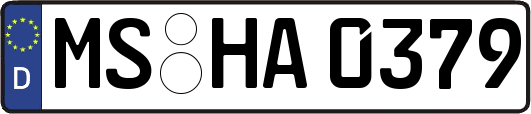 MS-HA0379