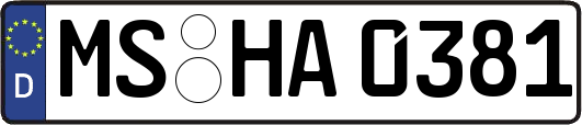 MS-HA0381