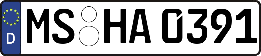 MS-HA0391