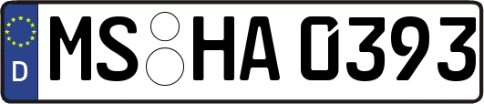 MS-HA0393