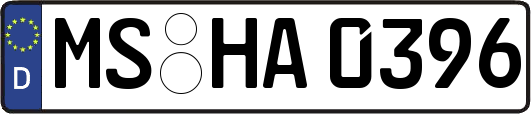 MS-HA0396