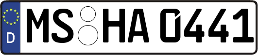 MS-HA0441