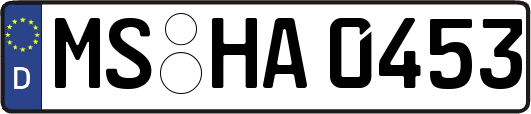 MS-HA0453