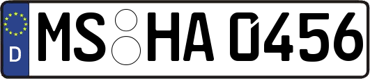 MS-HA0456