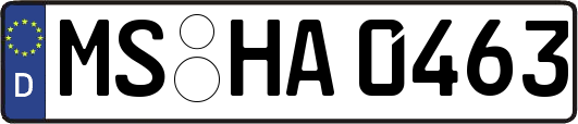 MS-HA0463