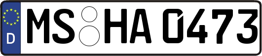 MS-HA0473