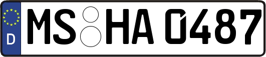 MS-HA0487