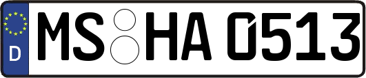 MS-HA0513