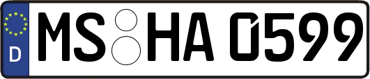 MS-HA0599