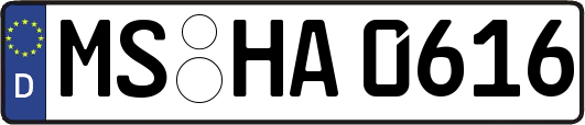 MS-HA0616