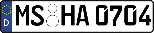 MS-HA0704
