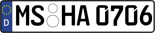 MS-HA0706