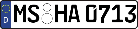MS-HA0713