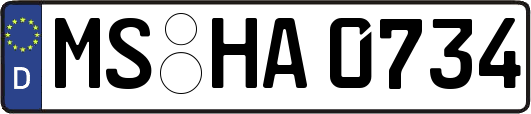 MS-HA0734