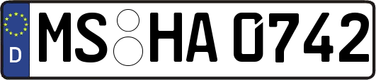 MS-HA0742