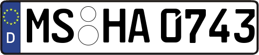 MS-HA0743