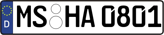 MS-HA0801