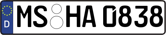 MS-HA0838