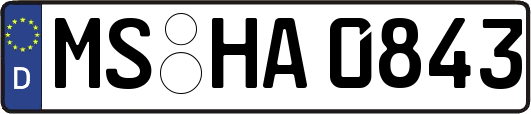 MS-HA0843
