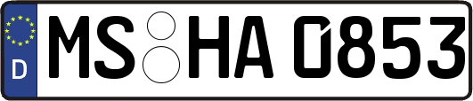 MS-HA0853