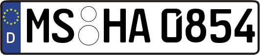 MS-HA0854