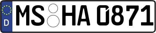 MS-HA0871