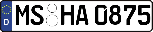 MS-HA0875