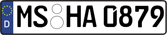 MS-HA0879