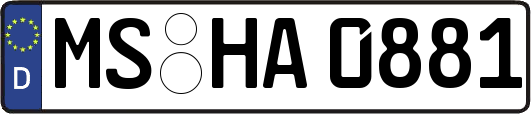 MS-HA0881
