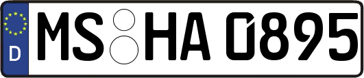 MS-HA0895