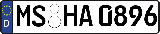 MS-HA0896