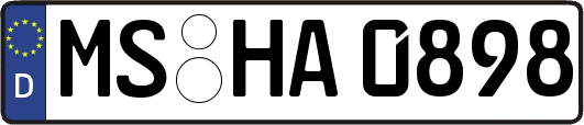 MS-HA0898