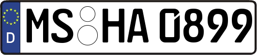 MS-HA0899
