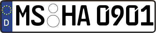 MS-HA0901