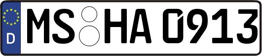 MS-HA0913