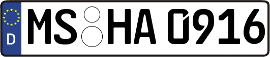 MS-HA0916
