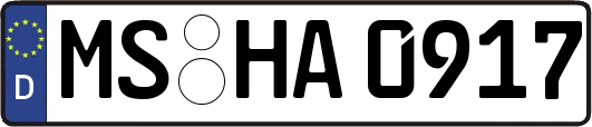 MS-HA0917