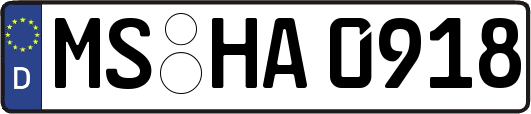 MS-HA0918