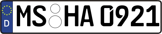 MS-HA0921