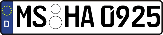 MS-HA0925