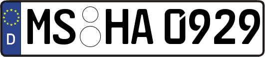 MS-HA0929