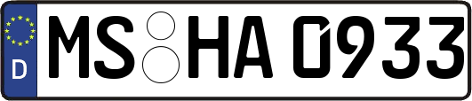 MS-HA0933