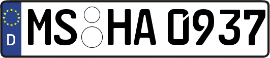 MS-HA0937