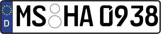 MS-HA0938