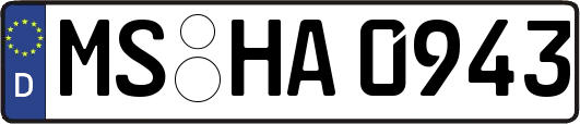 MS-HA0943