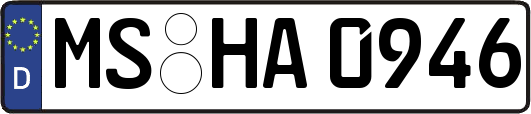 MS-HA0946