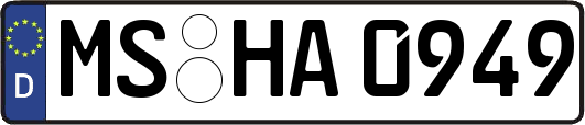 MS-HA0949