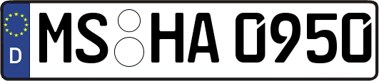 MS-HA0950