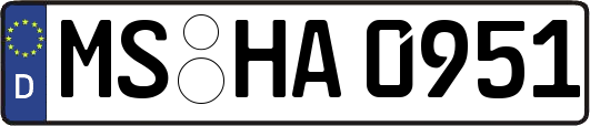 MS-HA0951