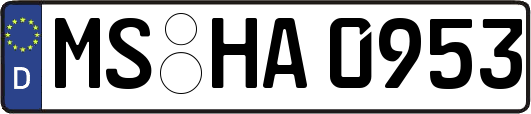 MS-HA0953